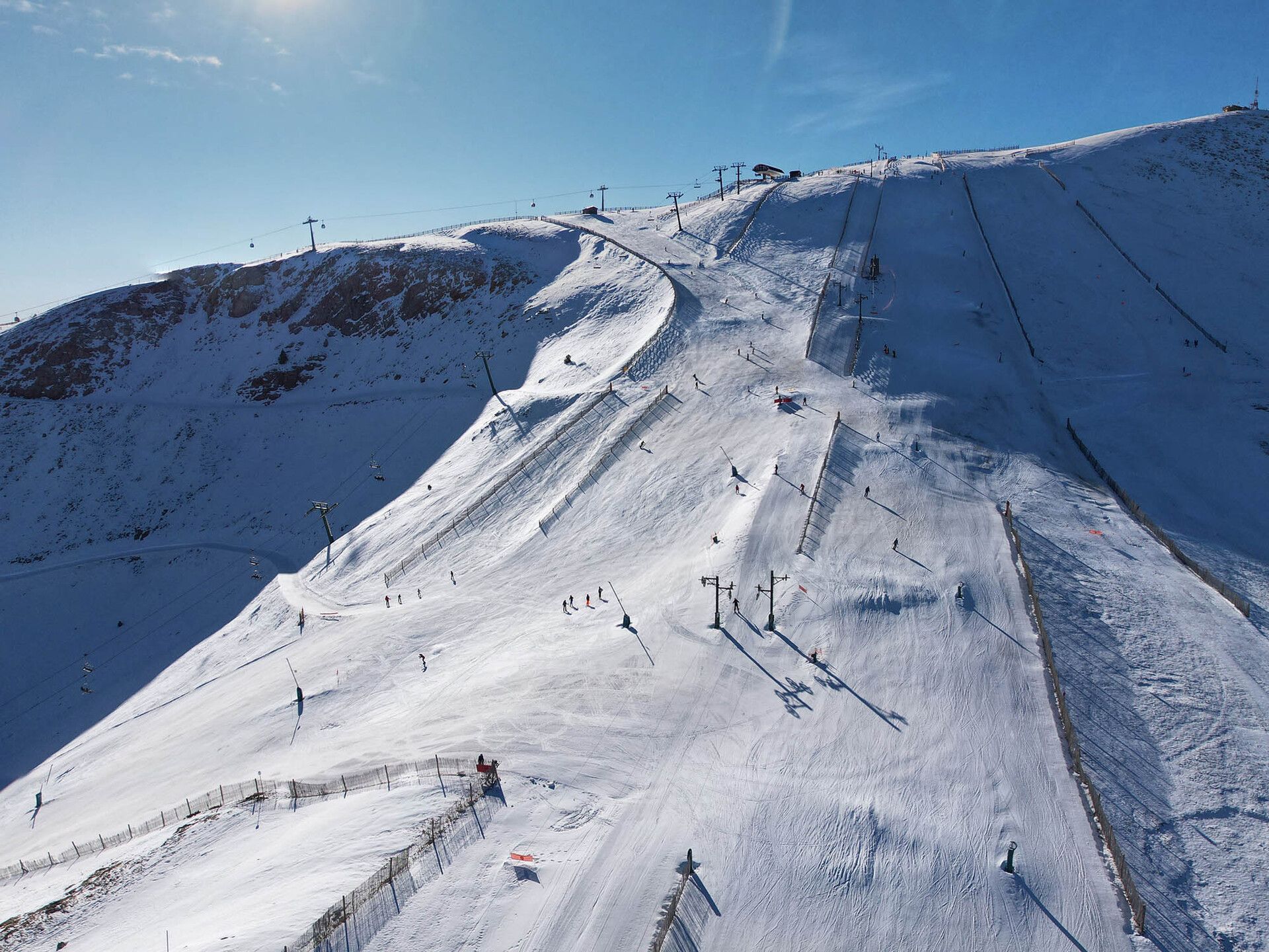 Masella
